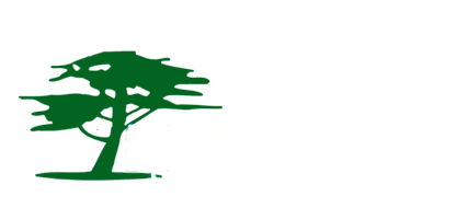 Madesul Madeireira